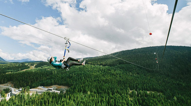 Zipline Tours - Whistler BC | Tourism Whistler