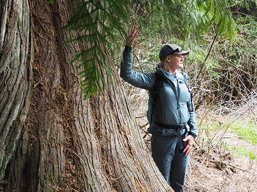 A naturalist leading guests along a forest trail toward Lost Lake in Whistler.