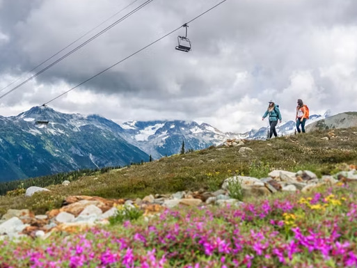 Hikers walking through alpine wildflowers beside a mountain lake on Blackcomb Mountain.