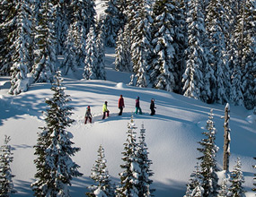 Guided snowshoe tour in Whistler, with a small group hiking along a snow-covered forest in winter.