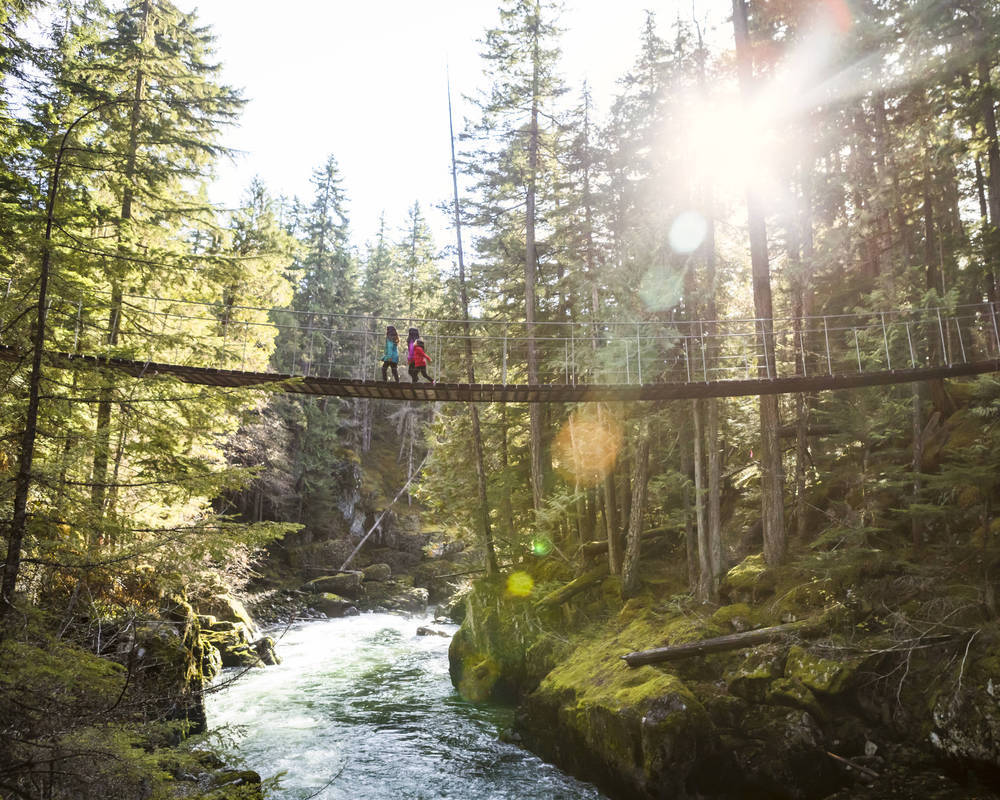 Three people walking on a suspension bridge in the Cheakamus forest in fall in Whistler