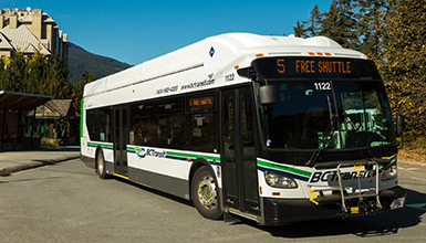 Whistler Transit Bus