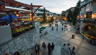 Essential Resources and Information for While You Are in Whistler