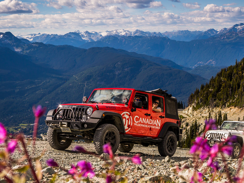 Blackcomb Glacier 4x4 Safari in Whistler BC, featuring a red off-road vehicle overlooking the Coast Mountains, alpine wildflowers and panoramic mountain views.