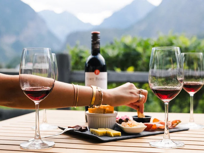 Wine tasting spread with red wine and appetizers overlooking mountain scenery during a helicopter wine tour near Whistler.