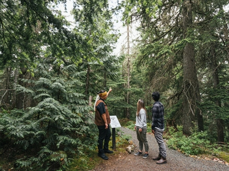 Indigenous guide leads two visitors on a forest trail, pointing out towering trees during a nature walk in Whistler.