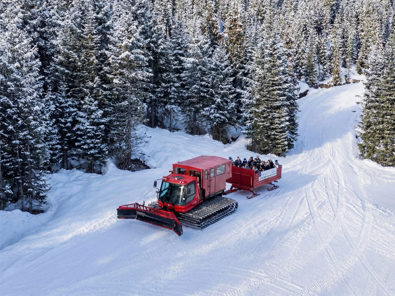 Red snowcat towing guests in an open-air sleigh through a snow-covered forest on a winter tour in Whistler, BC.