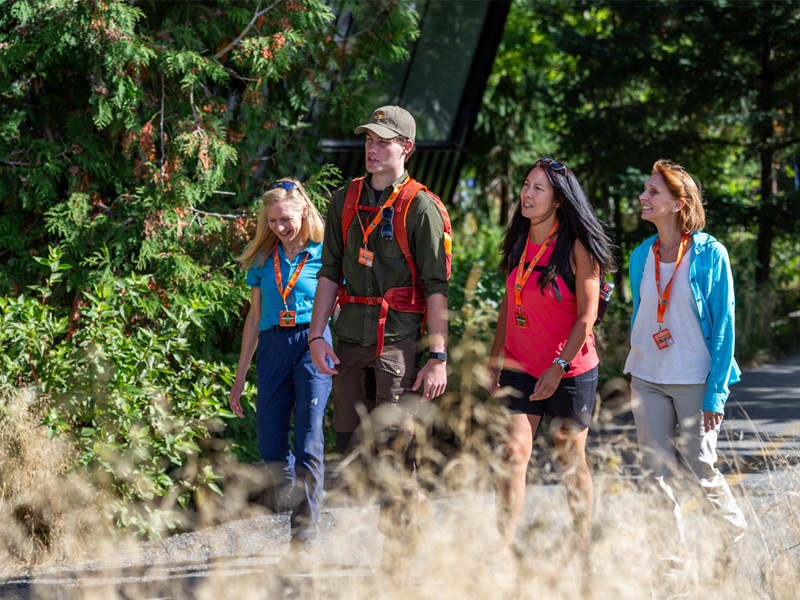 A guided nature walk through Whistler’s old-growth forest and wetlands.