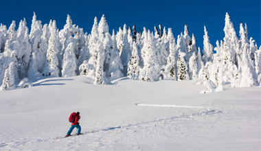Backcountry Tours