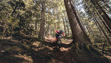 Bike Park Pass Discount