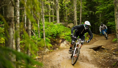Stay & Bike
