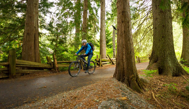 E-bike Bike Rental Discount