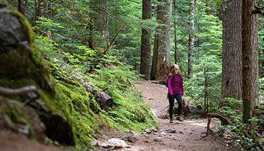 Forest Bathing in Whistler