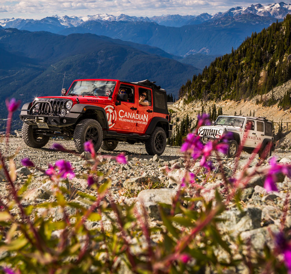 Off-road Jeep tour on a rocky alpine trail high above Whistler, with a red 4x4 in the foreground and a second vehicle behind, framed by pink wildflowers and sweeping Coast Mountain views under a dramatic sky.