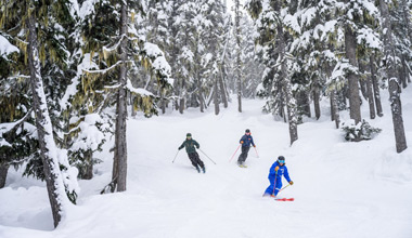 Private Ski Lesson on Whistler Blackcomb