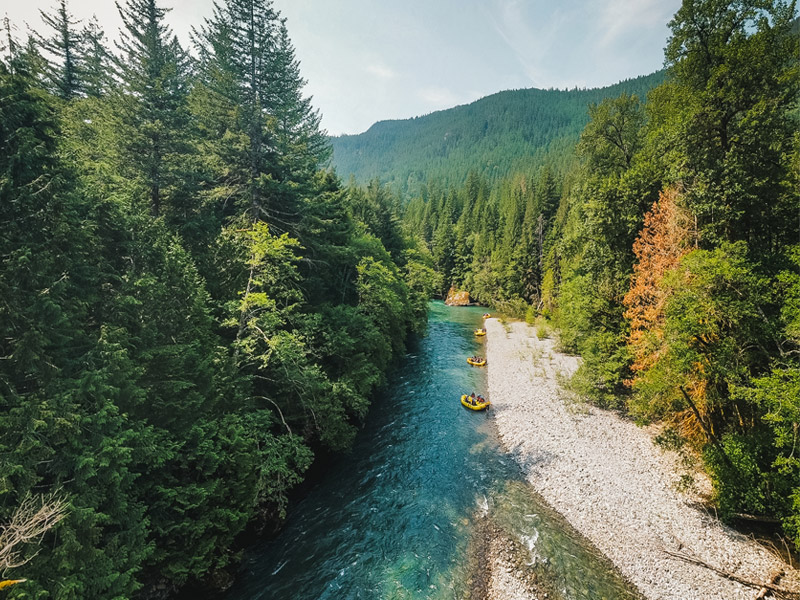 Five rafters paddle a yellow raft through churning whitewater on a tree-lined river, smiling and working together as waves splash around them.