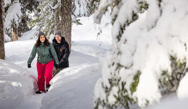 Snowshoe Tours