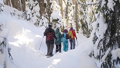 15% Off Snowshoe Tours