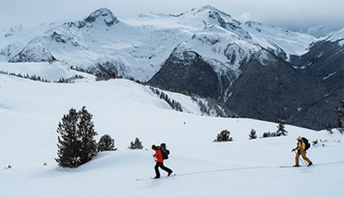 Skiers skinning through Whistler's Backcountry