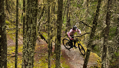 Riding cross-country trails in the Whistler Valley
