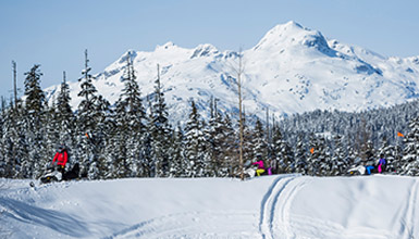 Beginner snowmobile tour in Whistler
