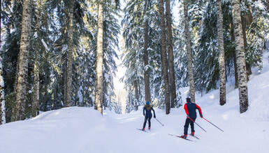 Cross-country skiing in Whistler Canada