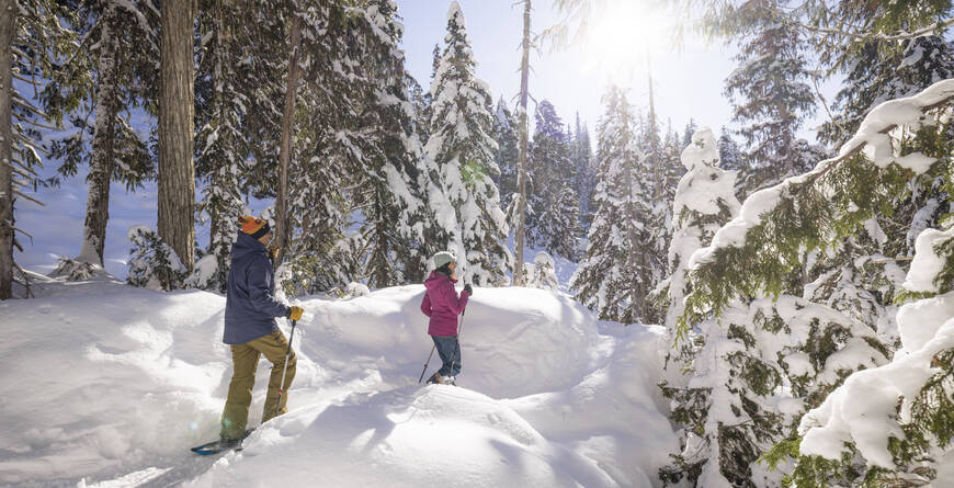 A couple pauses to take in the tranquil winter beauty of The Callaghan in Whistler, British Columbia, where sunlight filters through the forest.
