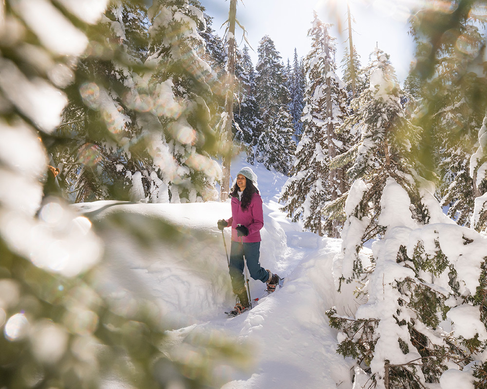Snowshoer walks through sunlit snowy forest trail in Whistler.