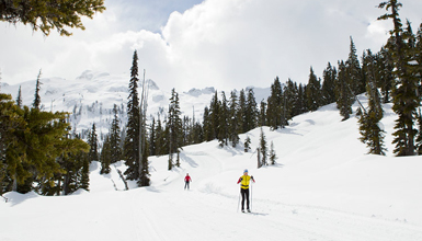 XC Skiing in Whistler